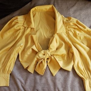 Balloon sleeve front tie blouse